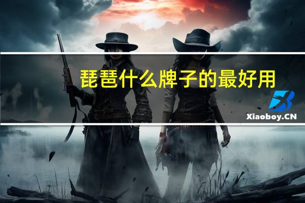琵琶什么牌子的最好用