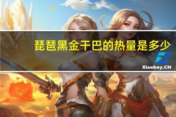 琵琶 黑金干巴的热量是多少