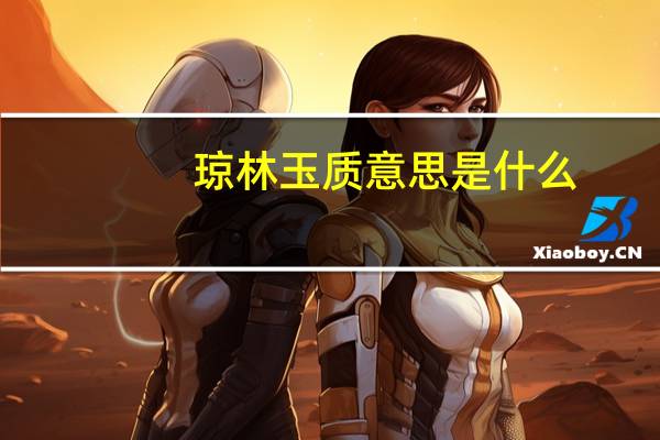 琼林玉质意思是什么