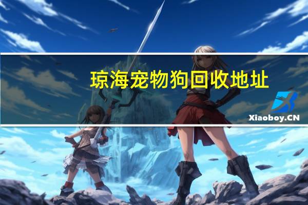 琼海宠物狗回收地址