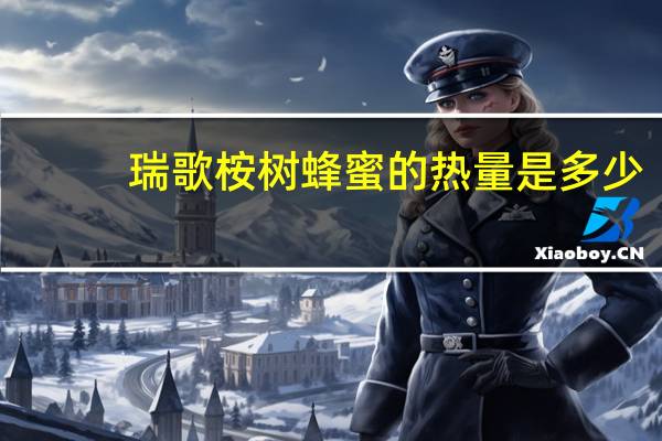 瑞歌 桉树蜂蜜的热量是多少