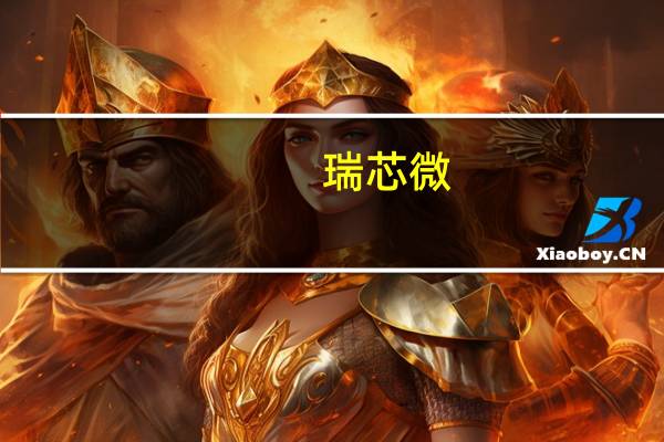 瑞芯微:今年行业会恢复传统淡旺季下半年市场需求有望进一步得到改善