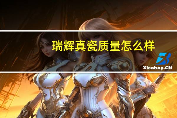 瑞辉真瓷质量怎么样