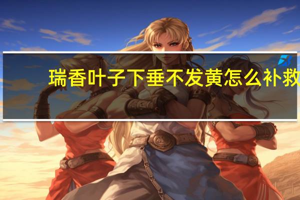 瑞香叶子下垂不发黄怎么补救