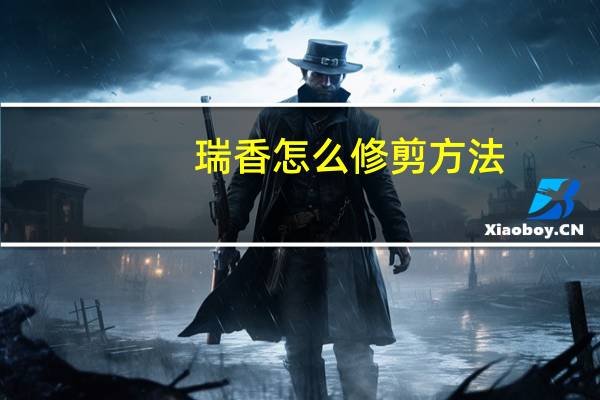 瑞香怎么修剪方法