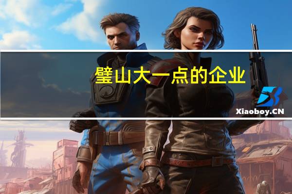 璧山大一点的企业