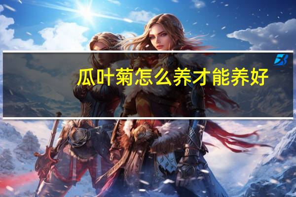 瓜叶菊怎么养才能养好