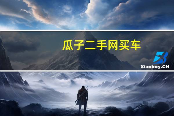 瓜子二手网买车（瓜子二手网）