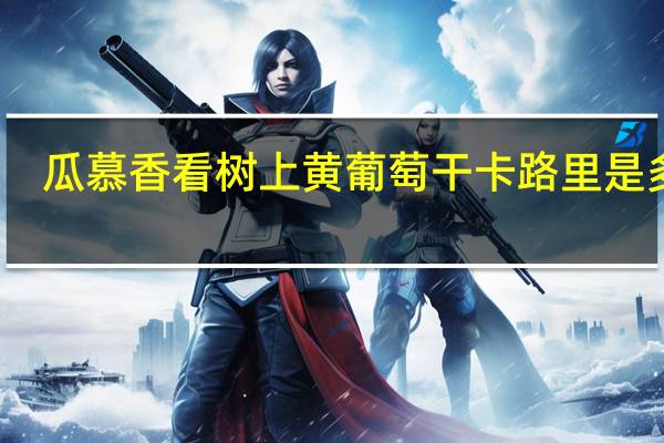 瓜慕香看 树上黄葡萄干卡路里是多少