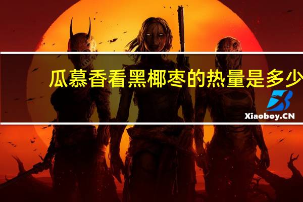 瓜慕香看 黑椰枣的热量是多少