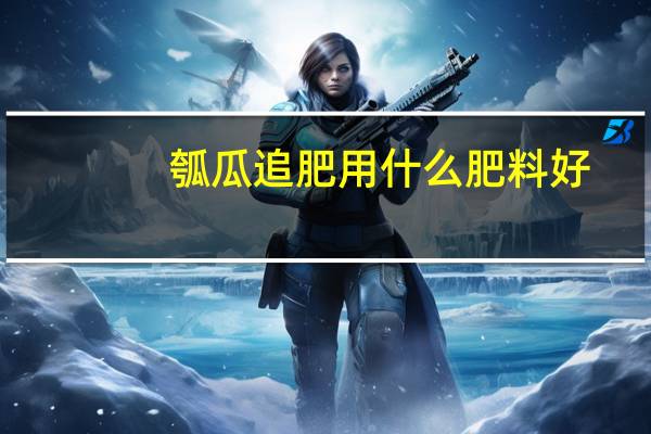 瓠瓜追肥用什么肥料好