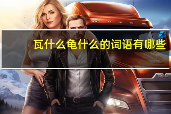 瓦什么龟什么的词语有哪些?