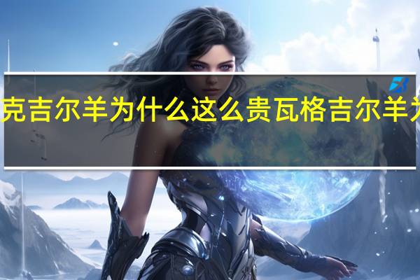 瓦克吉尔羊为什么这么贵 瓦格吉尔羊为什么贵