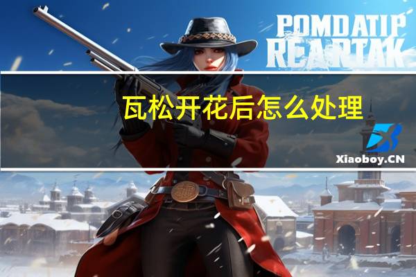 瓦松开花后怎么处理