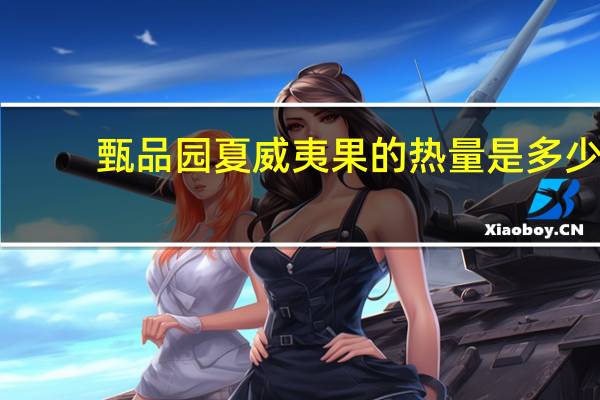 甄品园 夏威夷果的热量是多少