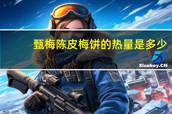 甄梅 陈皮梅饼的热量是多少