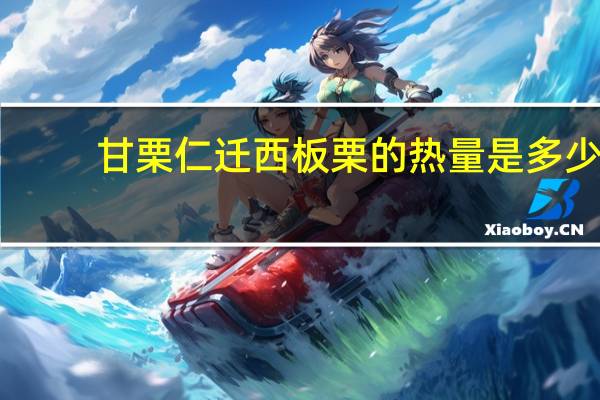 甘栗仁 迁西板栗的热量是多少