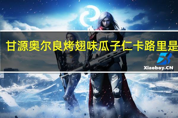 甘源 奥尔良烤翅味瓜子仁卡路里是多少