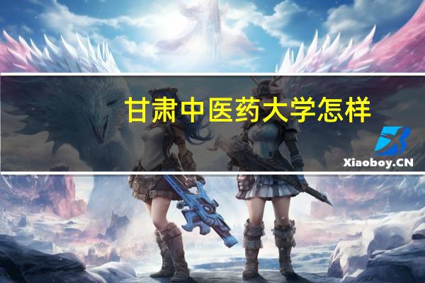 甘肃中医药大学怎样