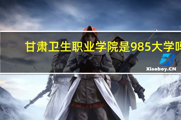 甘肃卫生职业学院是985大学吗