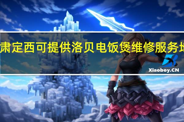 甘肃定西可提供洛贝电饭煲维修服务地址在哪