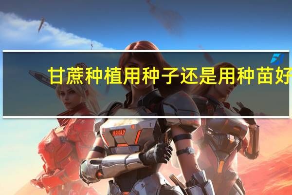 甘蔗种植用种子还是用种苗好