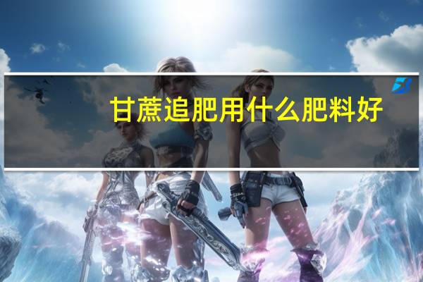 甘蔗追肥用什么肥料好