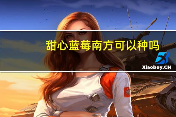 甜心蓝莓南方可以种吗