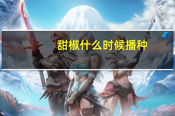 甜椒什么时候播种