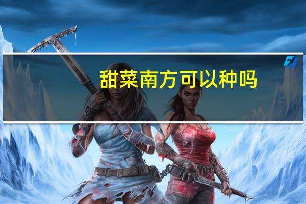 甜菜南方可以种吗