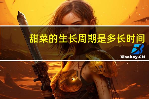 甜菜的生长周期是多长时间