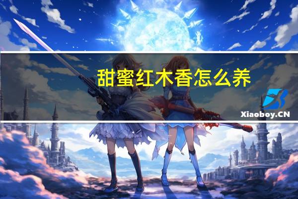 甜蜜红木香怎么养