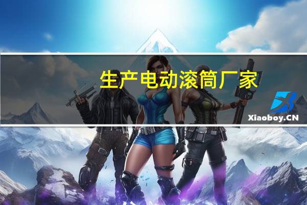 生产电动滚筒厂家