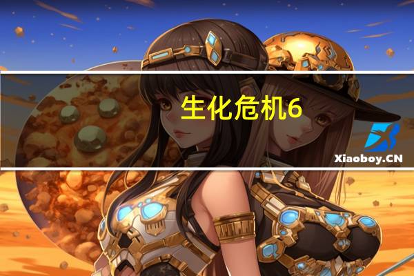 生化危机6（pc）
