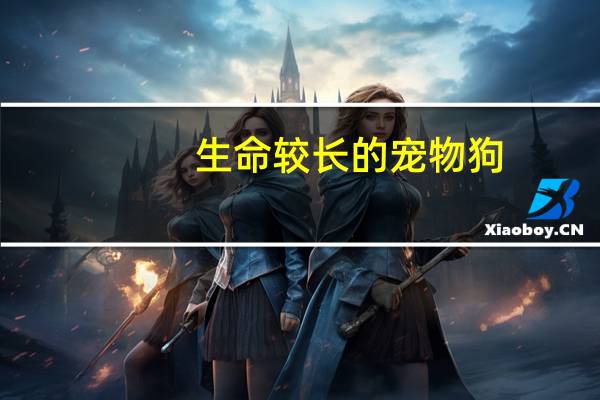生命较长的宠物狗