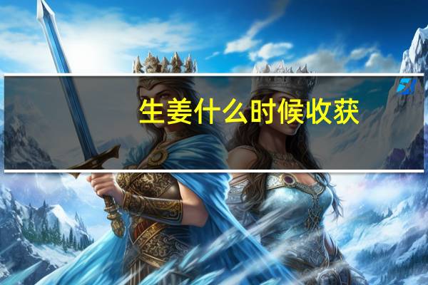 生姜什么时候收获