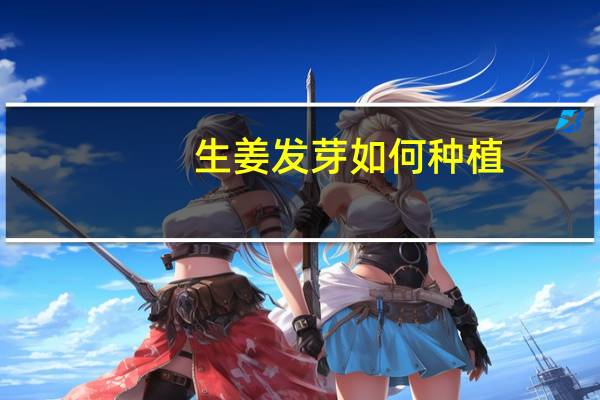 生姜发芽如何种植