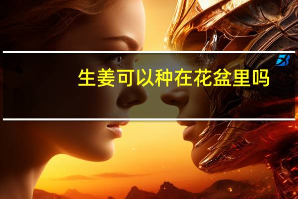 生姜可以种在花盆里吗
