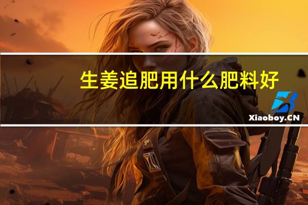 生姜追肥用什么肥料好
