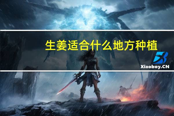 生姜适合什么地方种植