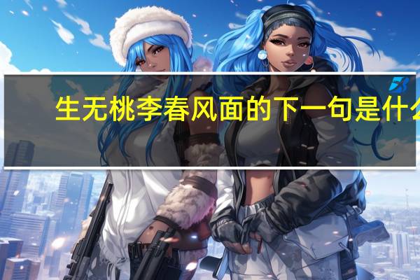 生无桃李春风面的下一句是什么