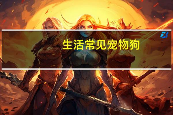 生活常见宠物狗