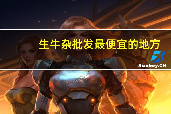 生牛杂批发最便宜的地方