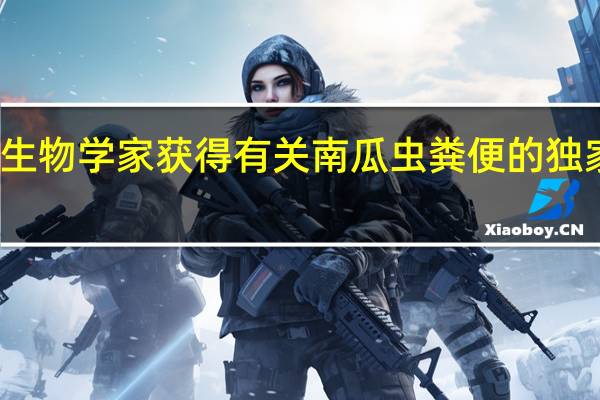 生物学家获得有关南瓜虫粪便的独家新闻