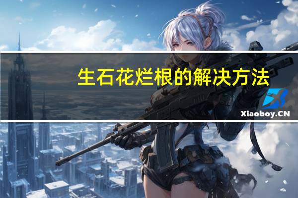 生石花烂根的解决方法：放在明亮通风的地方晾干