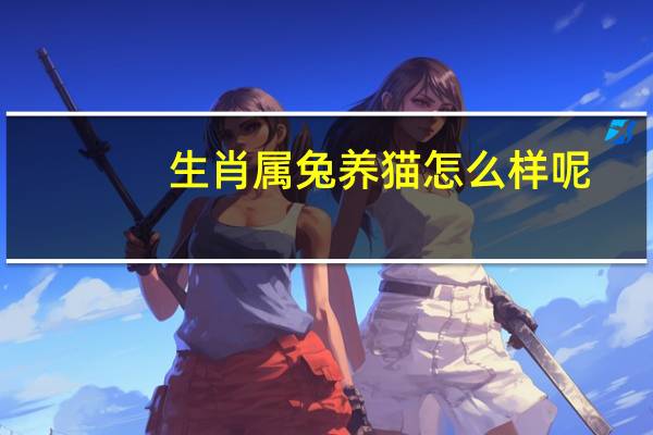 生肖属兔养猫怎么样呢