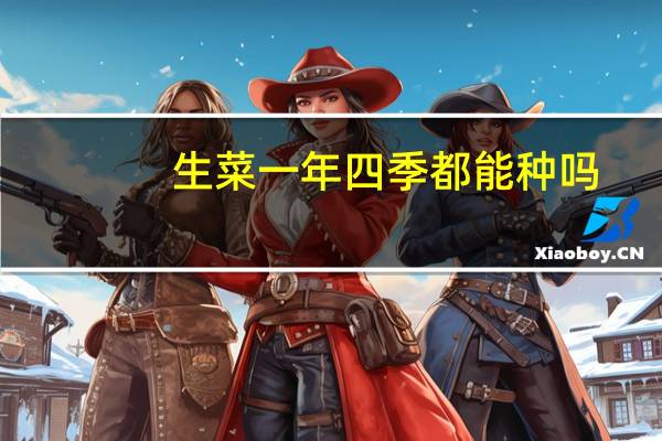 生菜一年四季都能种吗