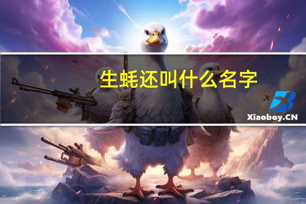 生蚝还叫什么名字