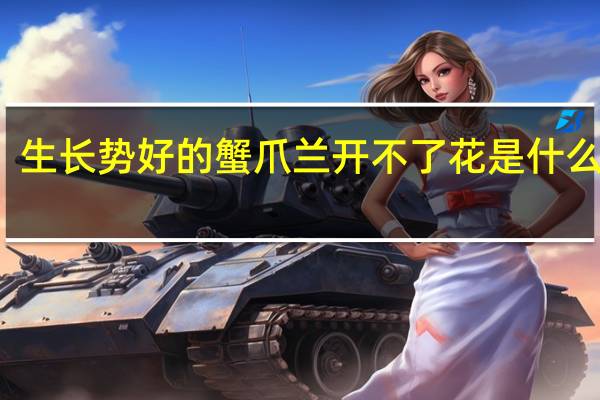 生长势好的蟹爪兰开不了花是什么原因