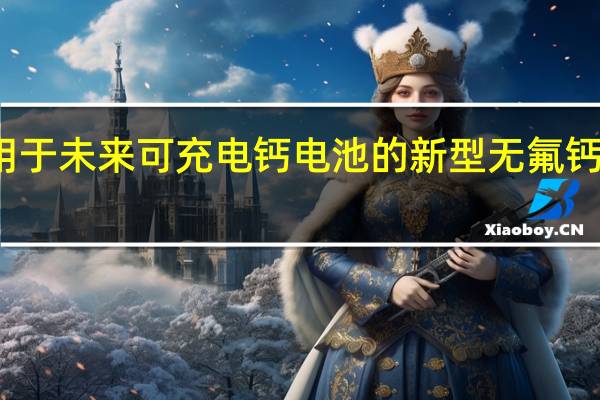 用于未来可充电钙电池的新型无氟钙电解质